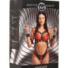 Master Series Harness with Restraints - Black/Gold