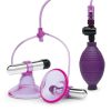 Lux Fetish Vibrating Nipple Suckers with Quick Release - Purple/Silver