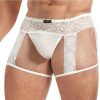 Lace King Men`s Lace and Mesh Garter Panty - S/M - White